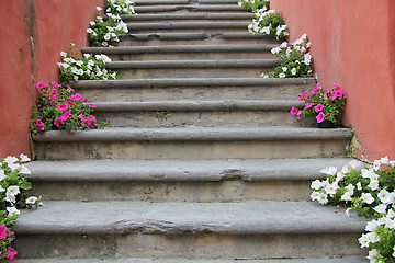 Image showing Flowers on stairs