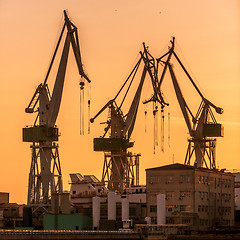 Image showing Industrial cargo cranes in the dock