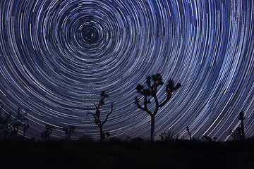 Image showing Star Trails and Milky Way in Joshua Tree National Park