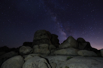 Image showing Star Trails and Milky Way in Joshua Tree National Park