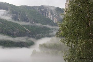 Image showing Fog in Norway