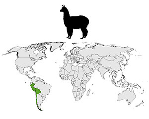 Image showing Alpaca range map