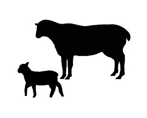 Image showing The black silhouettes of a sheep and a lamb on white