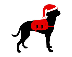 Image showing Dog with christmas cap and rucksack