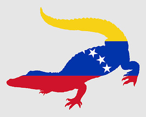 Image showing Crocodile Venezuela