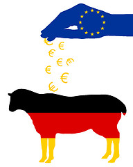 Image showing German sheep and european subsidies