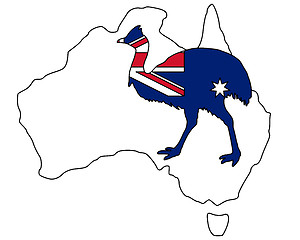 Image showing Kassowary Australia