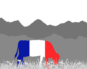 Image showing Cow alp and french flag