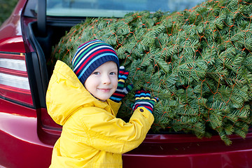 Image showing christmas tree shopping