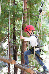 Image showing kid in adventure park