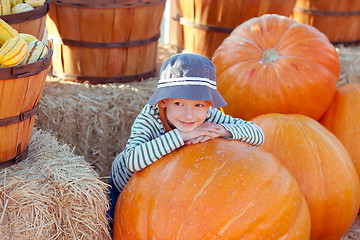 Image showing kid at pumpkin patch