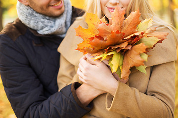 Image showing close up of smiling couple hugging in autumn park