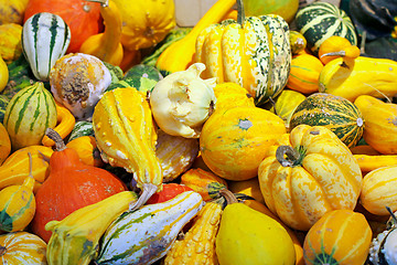 Image showing Decorative pumpkins