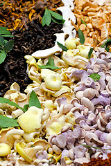 Image showing Mushrooms variety