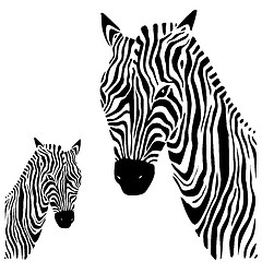 Image showing Zebra. Vector illustration.