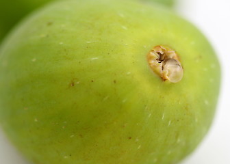 Image showing Green Fig