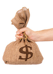 Image showing Money bag