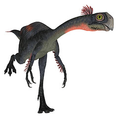 Image showing Dinosaur Gigantoraptor