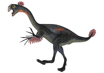 Image showing Dinosaur Gigantoraptor