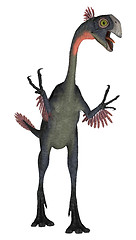 Image showing Dinosaur Gigantoraptor