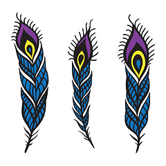 Image showing Peacock Feather set.