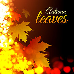 Image showing Autumn leaves