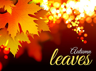 Image showing Autumn leaves