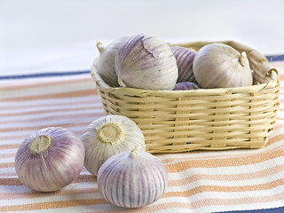 Image showing Purple Garlic