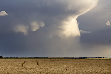 Image showing Storm Clouds Saskatchewan