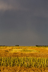 Image showing Storm Clouds Saskatchewan