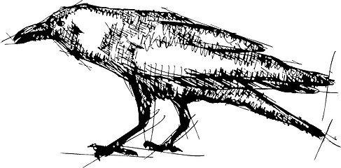 Image showing Sketch vector illustration of crow