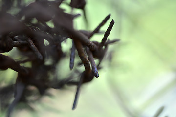 Image showing mesh textile cloth macro shot