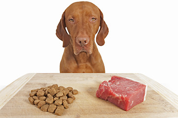 Image showing kibble or natural dog food