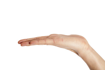 Image showing human hand palm facing up 