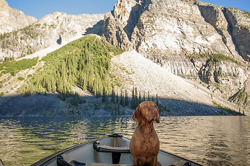 Image showing dog in canoe