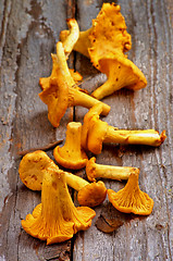 Image showing Fresh Raw Chanterelles 