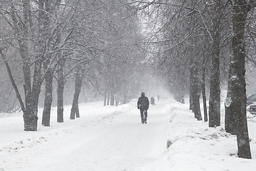 Image showing Snow storm