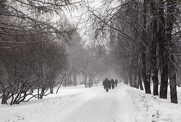 Image showing Snow storm