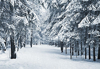 Image showing Winter alley