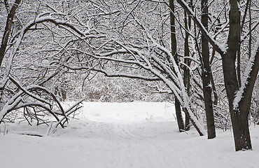 Image showing Winter alley