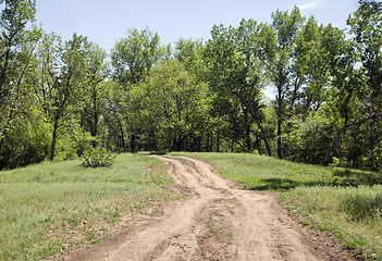 Image showing Country road