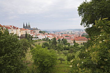 Image showing Roofs of Prague