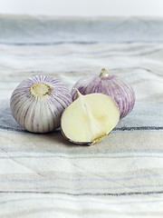 Image showing Purple Garlic