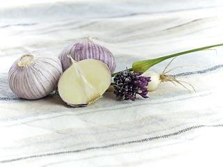 Image showing Purple Garlic