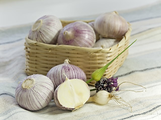 Image showing Purple Garlic
