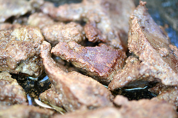 Image showing Close up cooked chicken liver