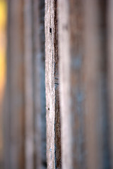 Image showing Brown striped wood grain, selective focus