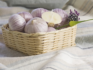 Image showing Purple Garlic