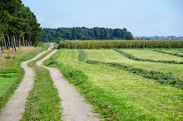 Image showing Dirt road in a rural landscape