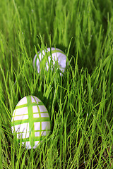 Image showing easter eggs in grass